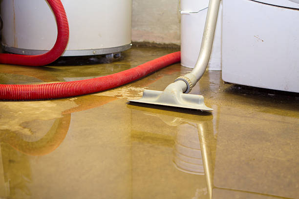 Best Mold removal after water damage  in Culpeper, VA