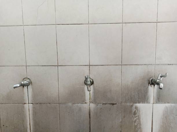 Best Sewage cleanup and water damage restoration  in Culpeper, VA