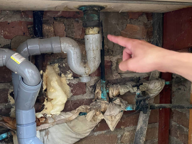 Best Flooded house restoration  in Culpeper, VA